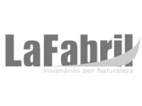 LAFABRIL GRIS